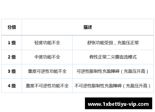 球员：技术与领导力的分级评估