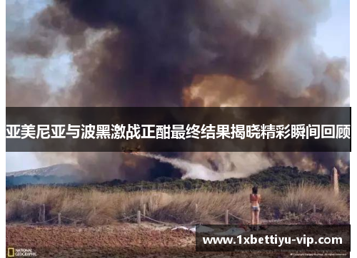 亚美尼亚与波黑激战正酣最终结果揭晓精彩瞬间回顾